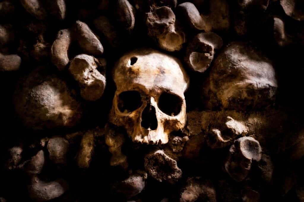 skulls and bones in Paris Catacombs